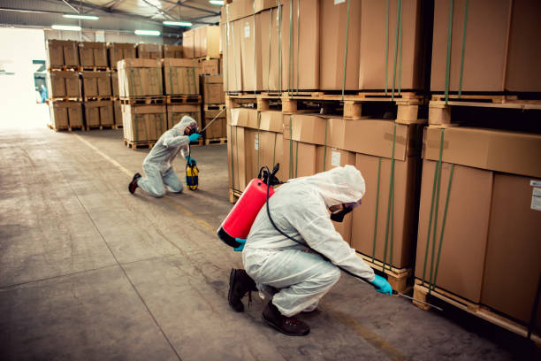 Best Pest Prevention Services  in Fruit Heights, UT