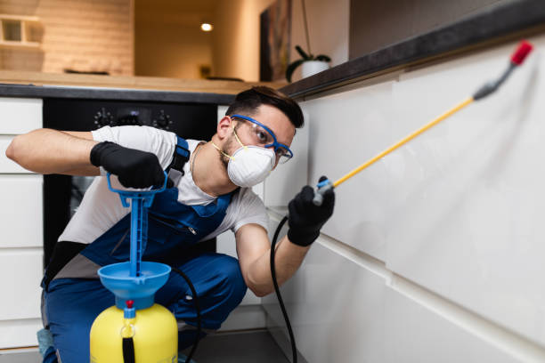 Best Affordable Pest Control Services  in Fruit Heights, UT