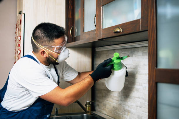 Best Best Pest Control Companies  in Fruit Heights, UT