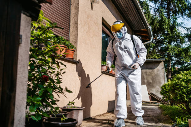 Best Best Pest Control Companies  in Fruit Heights, UT