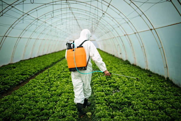 Best Exterminator Services  in Fruit Heights, UT