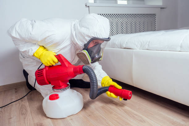 Best Affordable Pest Control Services  in Fruit Heights, UT