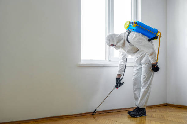 Best Commercial Pest Control Services  in Fruit Heights, UT