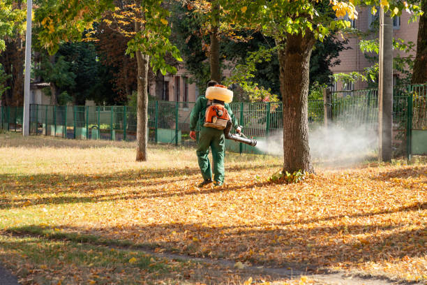 Flea Control Services in Fruit Heights, UT
