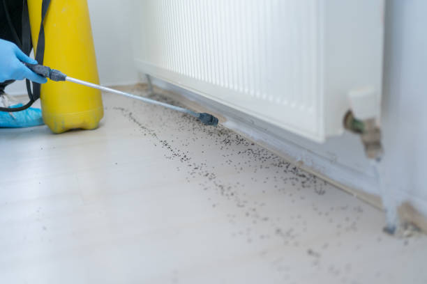 Best Best Pest Control Companies  in Fruit Heights, UT