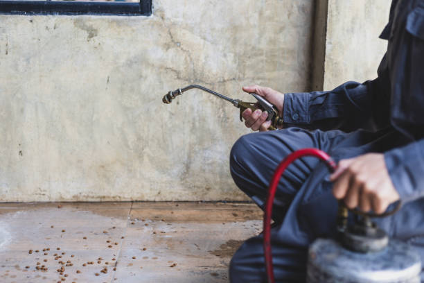 Best Pest Prevention Services  in Fruit Heights, UT
