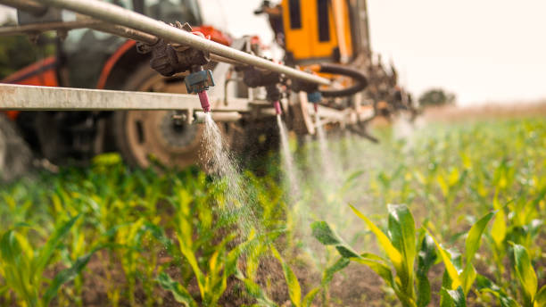 Pest Control Cost in Fruit Heights, UT