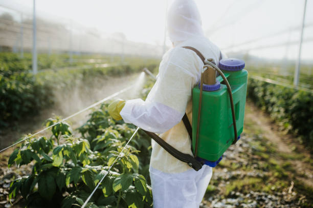 Best Emergency Pest Control  in Fruit Heights, UT